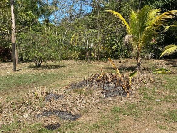 Scenic Surf Haven in Pavones