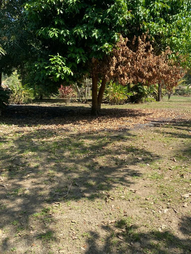 Scenic Surf Haven in Pavones