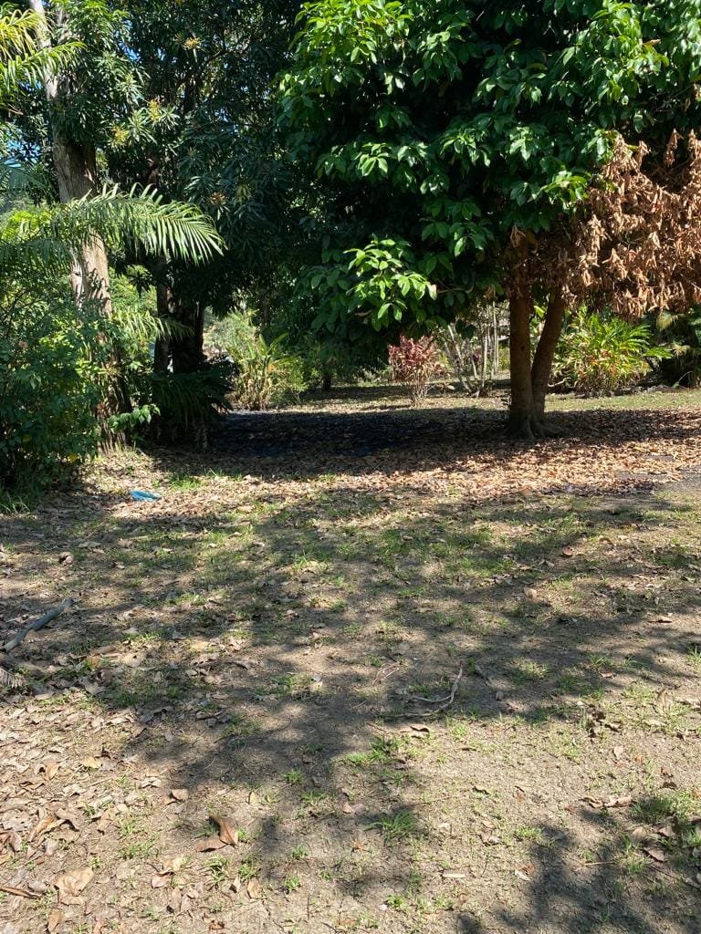 Scenic Surf Haven in Pavones