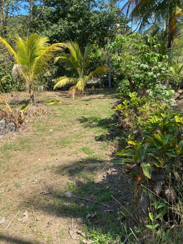 Scenic Surf Haven in Pavones