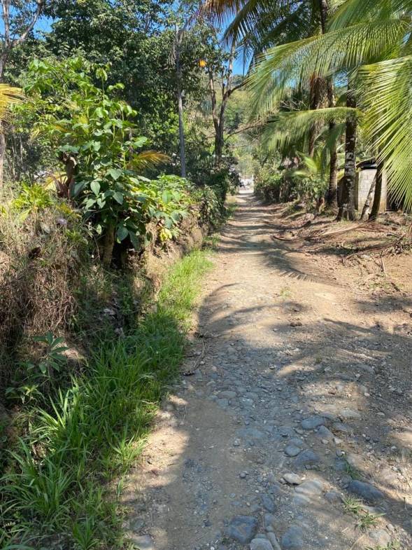Scenic Surf Haven in Pavones