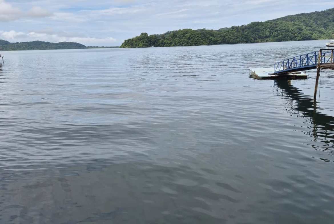 Beachfront Lot for Sale in Central Golfito