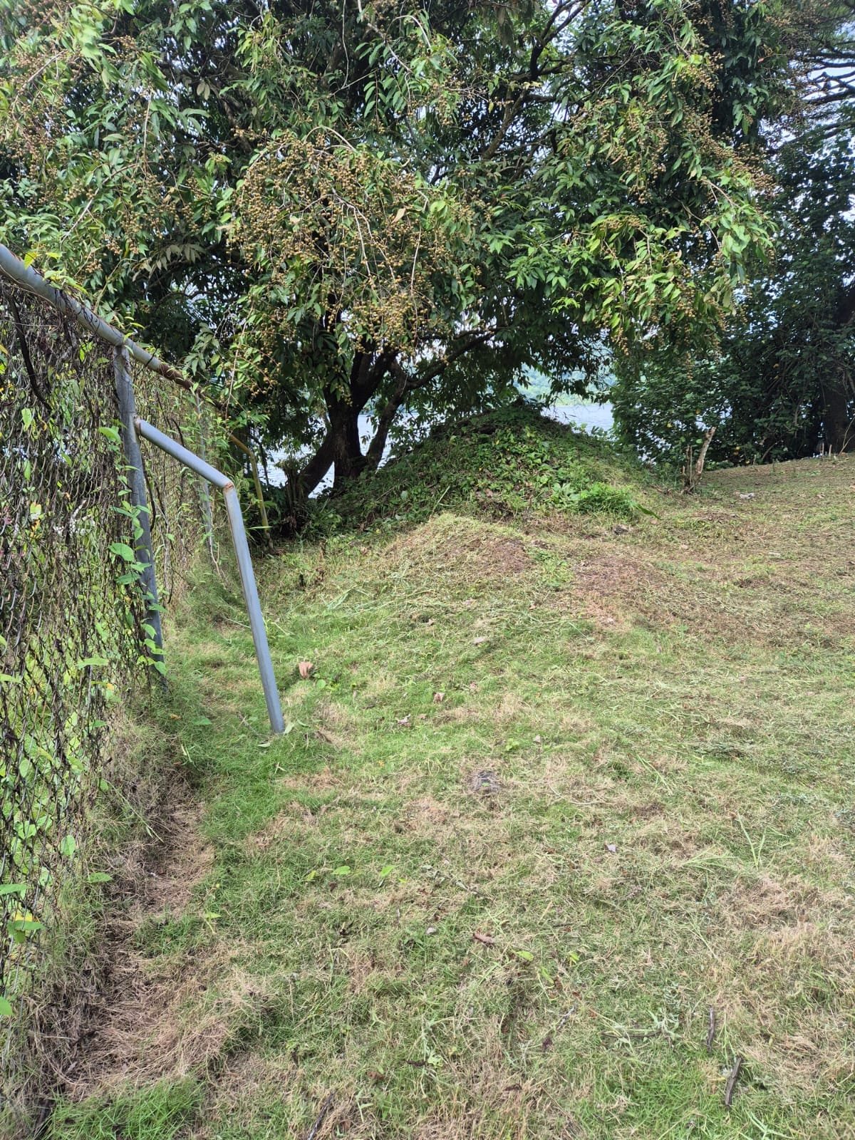 Beachfront Lot for Sale in Central Golfito