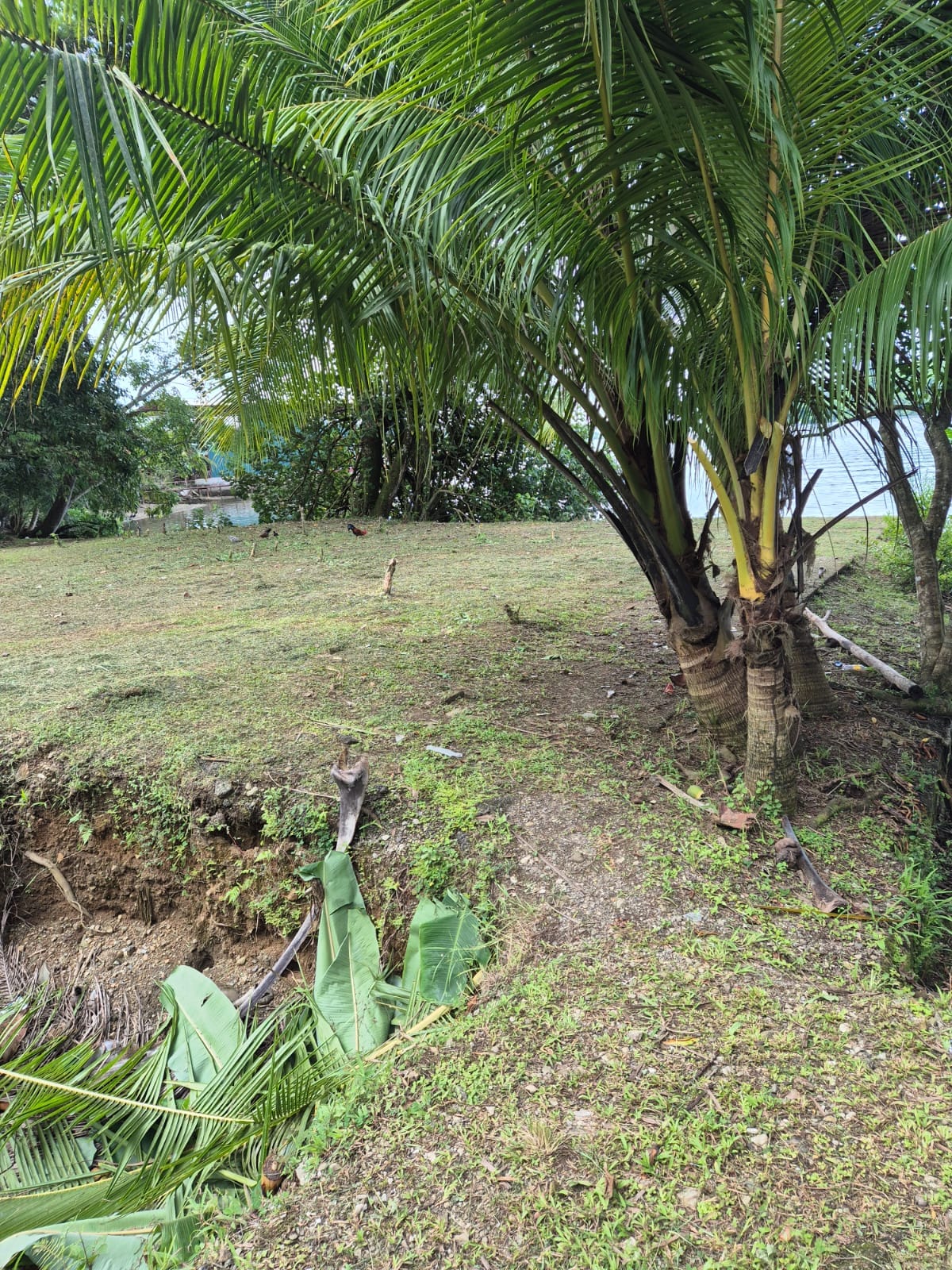 Beachfront Lot for Sale in Central Golfito