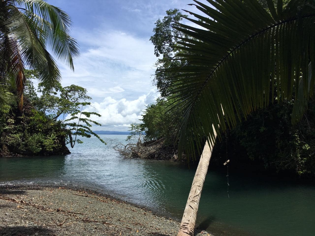 Coastal Rainforest Estate in Golfito