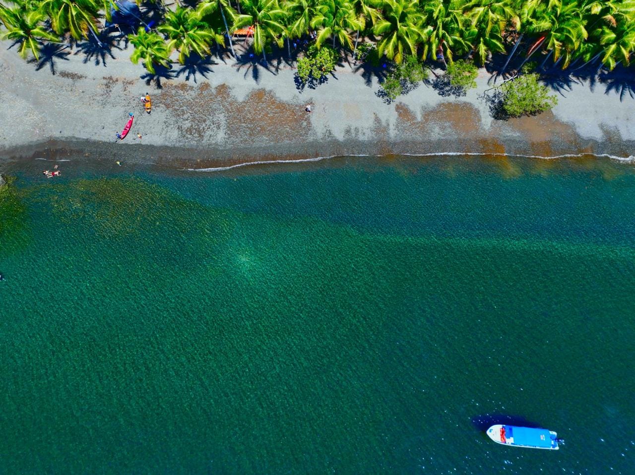 Coastal Rainforest Estate in Golfito