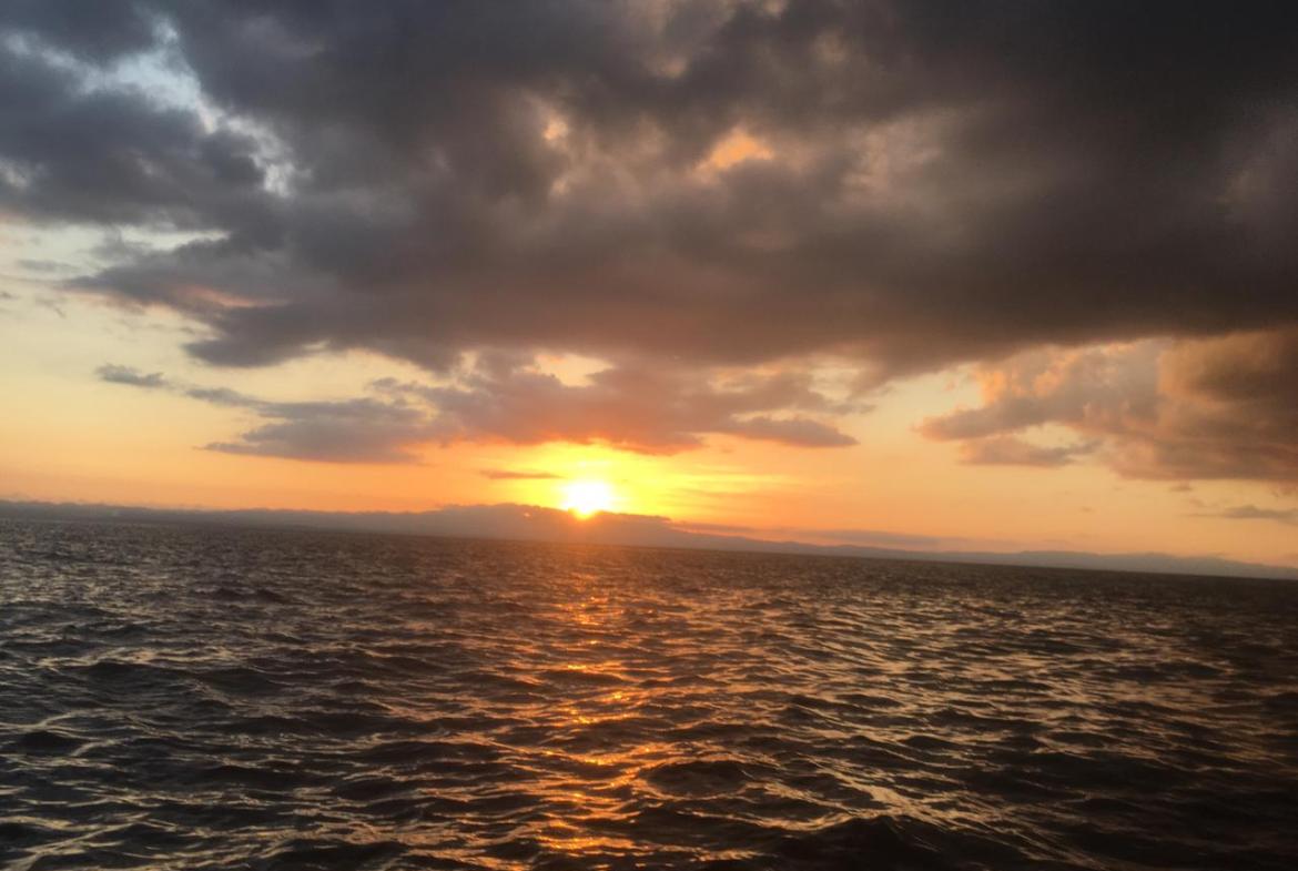 Coastal Rainforest Estate in Golfito