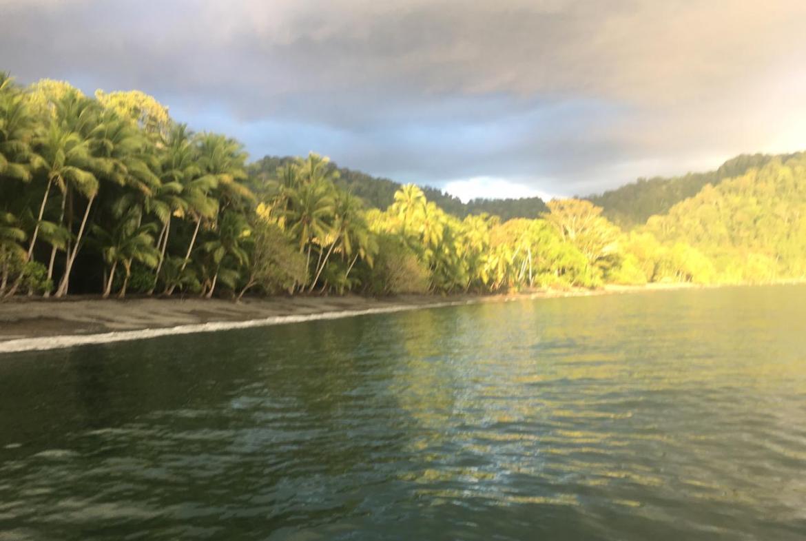 Coastal Rainforest Estate in Golfito