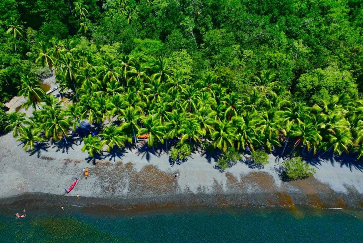 Coastal Rainforest Estate in Golfito