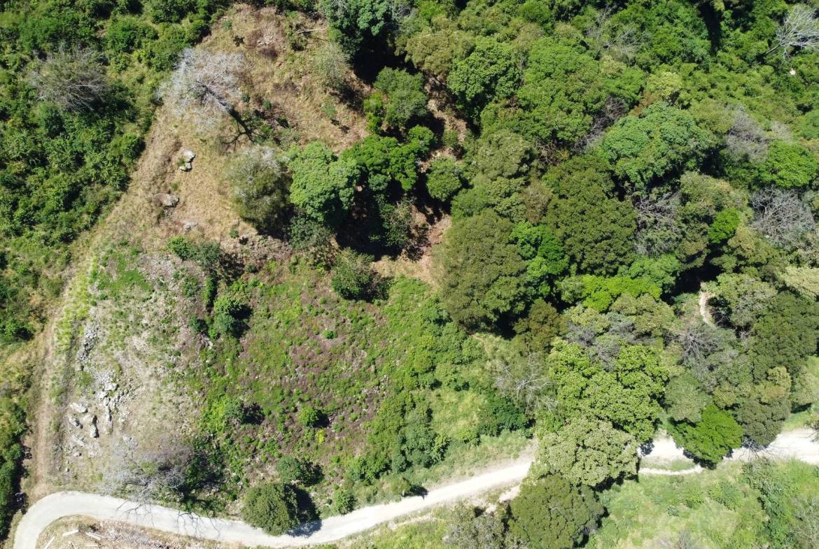 Prime Ocean View Lot – Gated Community, Santa Teresa