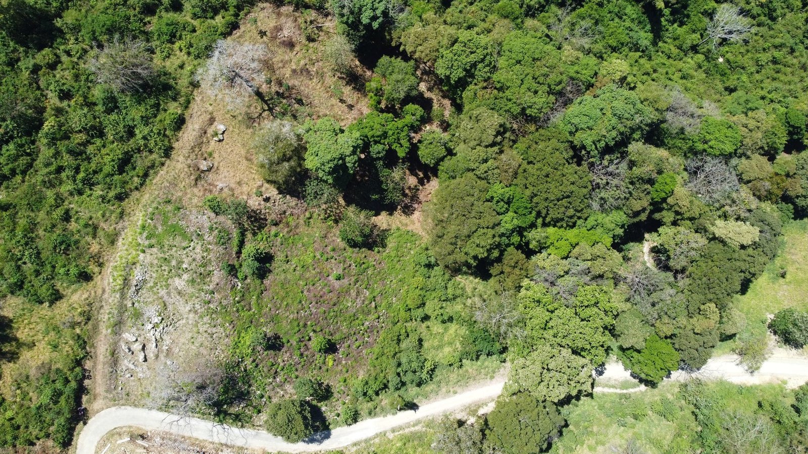 Prime Ocean View Lot â€“ Gated Community, Santa Teresa