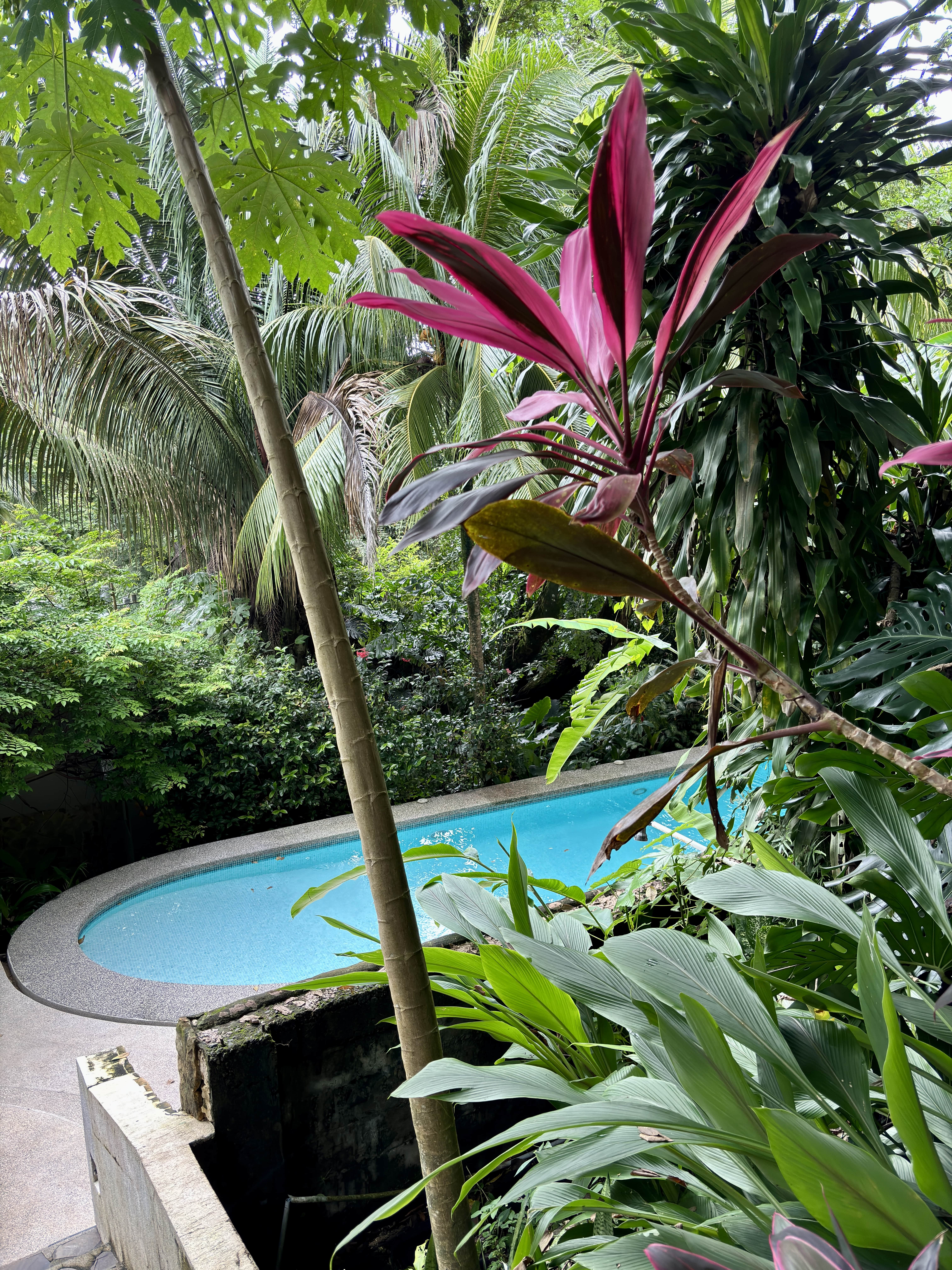 Walk to Surf Home in Malpais