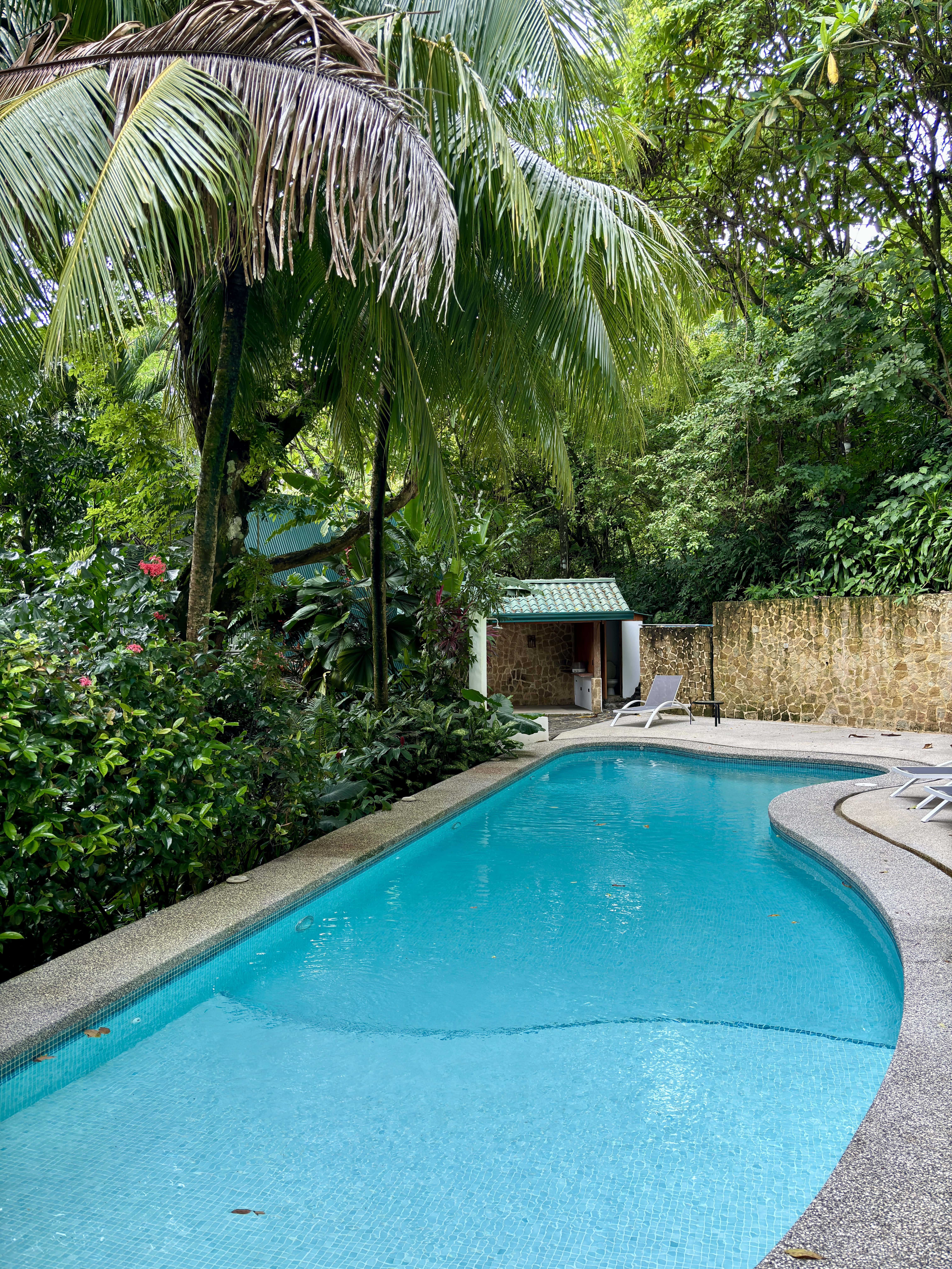 Walk to Surf Home in Malpais