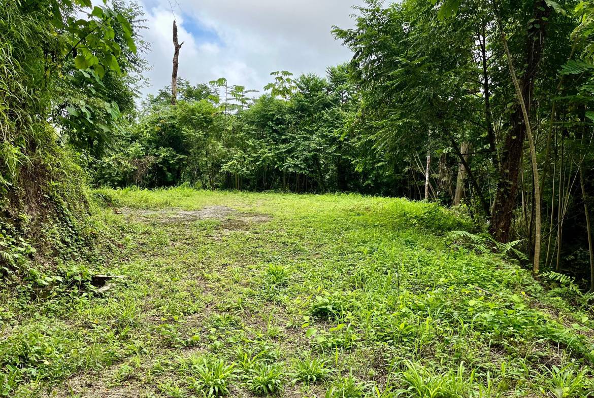 Panoramic Oceanview Land for Sale in Santa Teresa