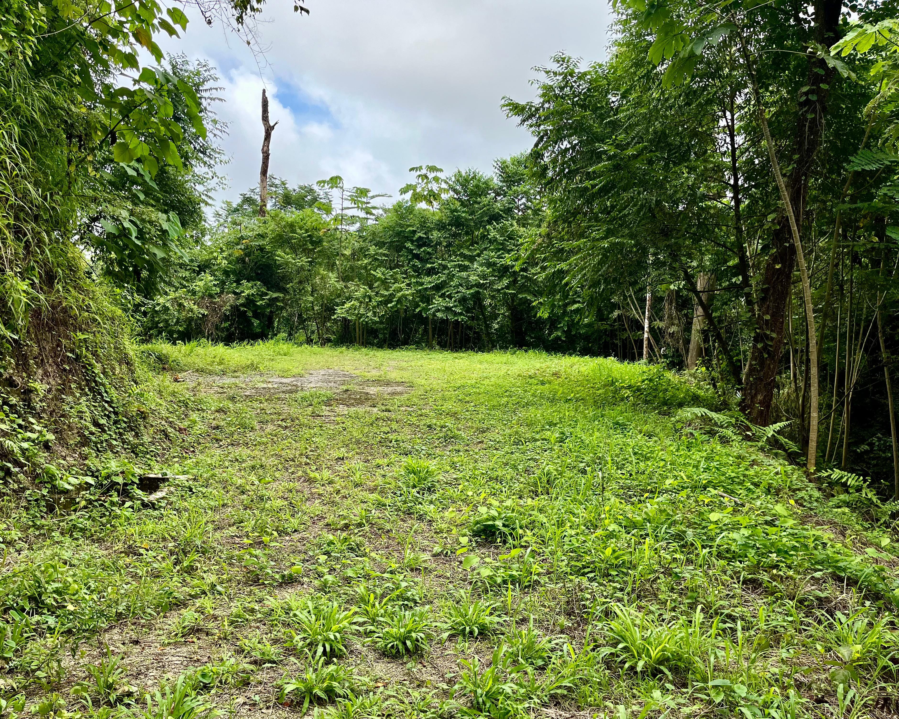 Panoramic Oceanview Land for Sale in Santa Teresa