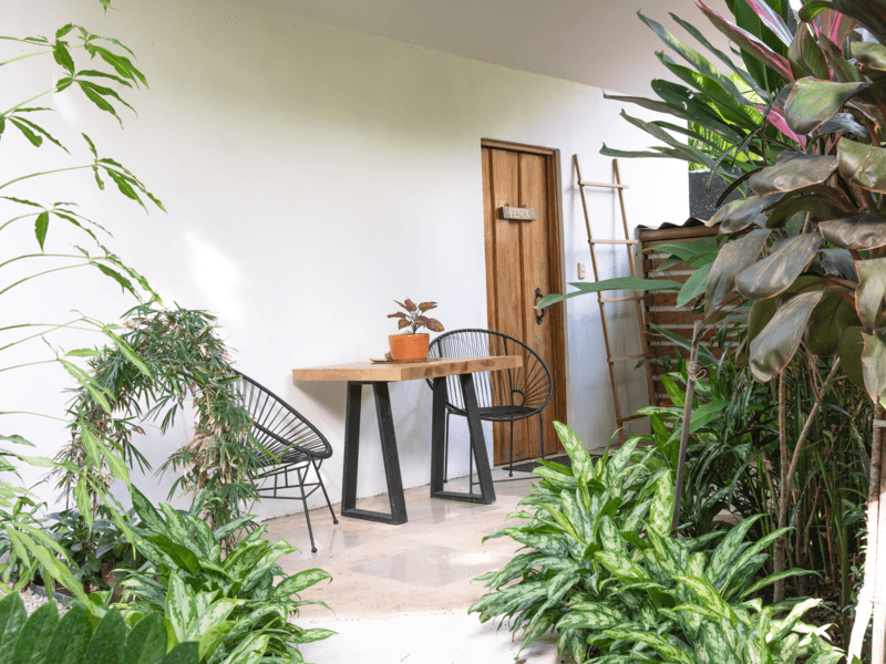 DSC02502-Verbessert-NR baja