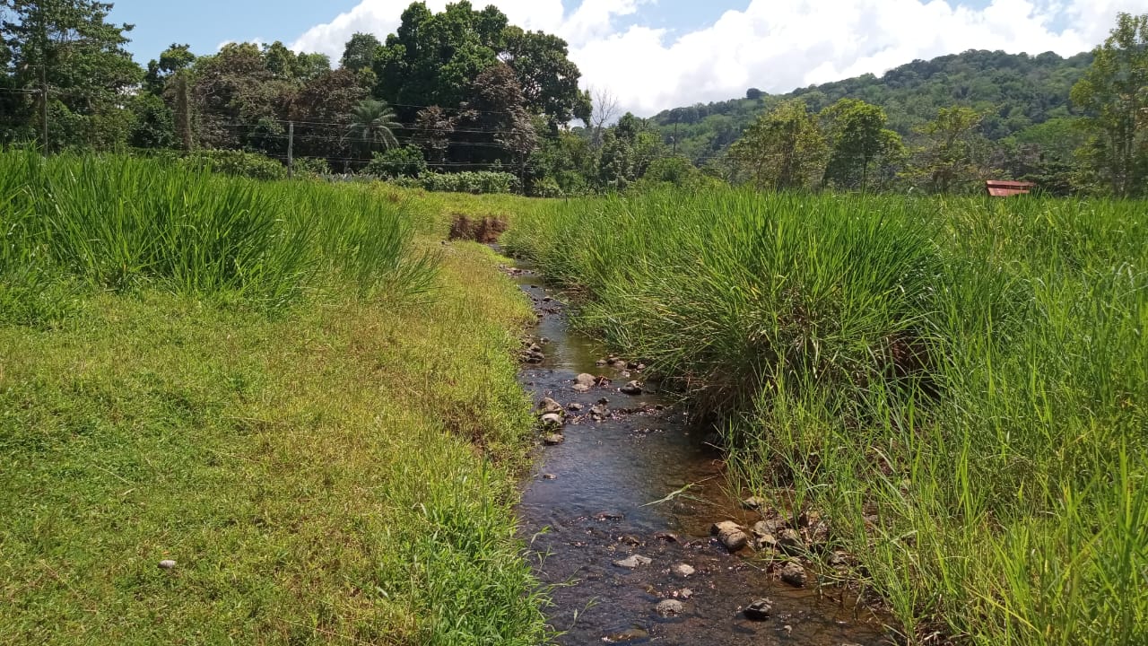 Nature Retreat with Waterfalls & Forest Near Corcovado