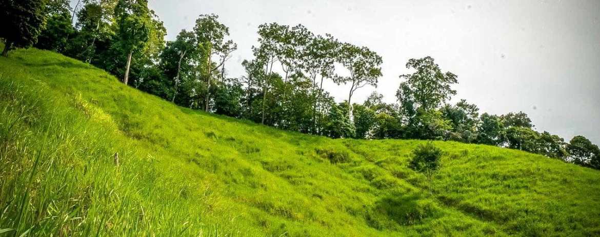 Nature Retreat with Waterfalls & Forest Near Corcovado