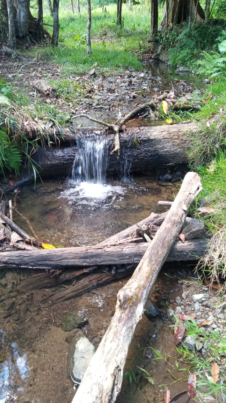 Nature Retreat with Waterfalls & Forest Near Corcovado