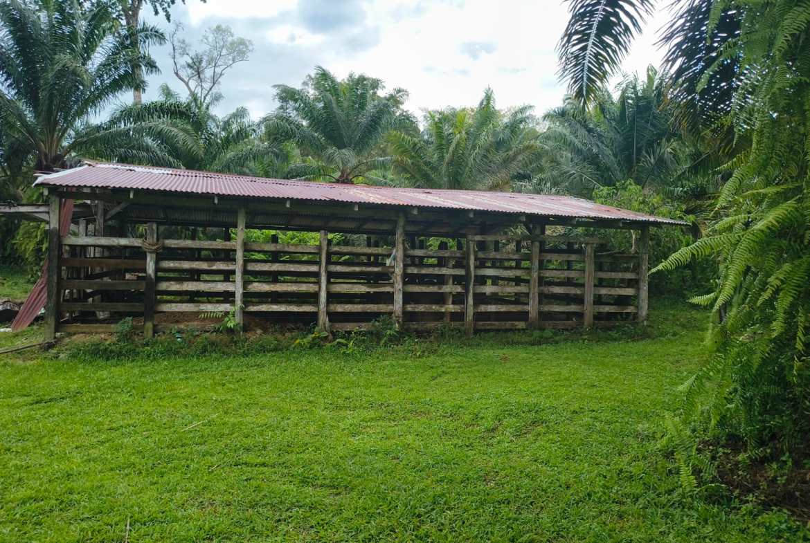 Nature Retreat with Waterfalls & Forest Near Corcovado