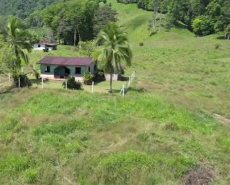 Nature Retreat with Waterfalls & Forest Near Corcovado