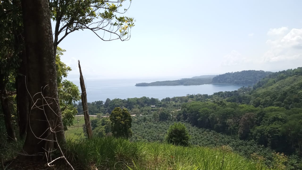 Nature Retreat with Waterfalls & Forest Near Corcovado