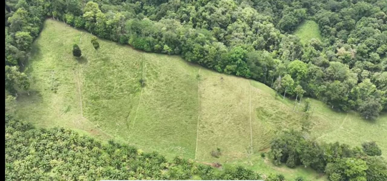 Nature Retreat with Waterfalls & Forest Near Corcovado