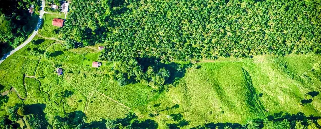 Nature Retreat with Waterfalls & Forest Near Corcovado