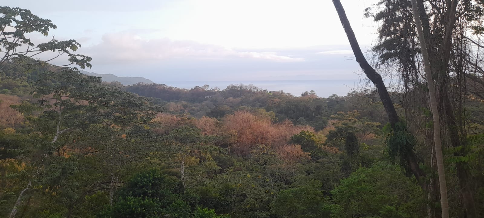 WhatsApp Image 2025-02-28 at 5.47.59 PM WhatsApp Image 2025-02-28 at 5.47.59 PM