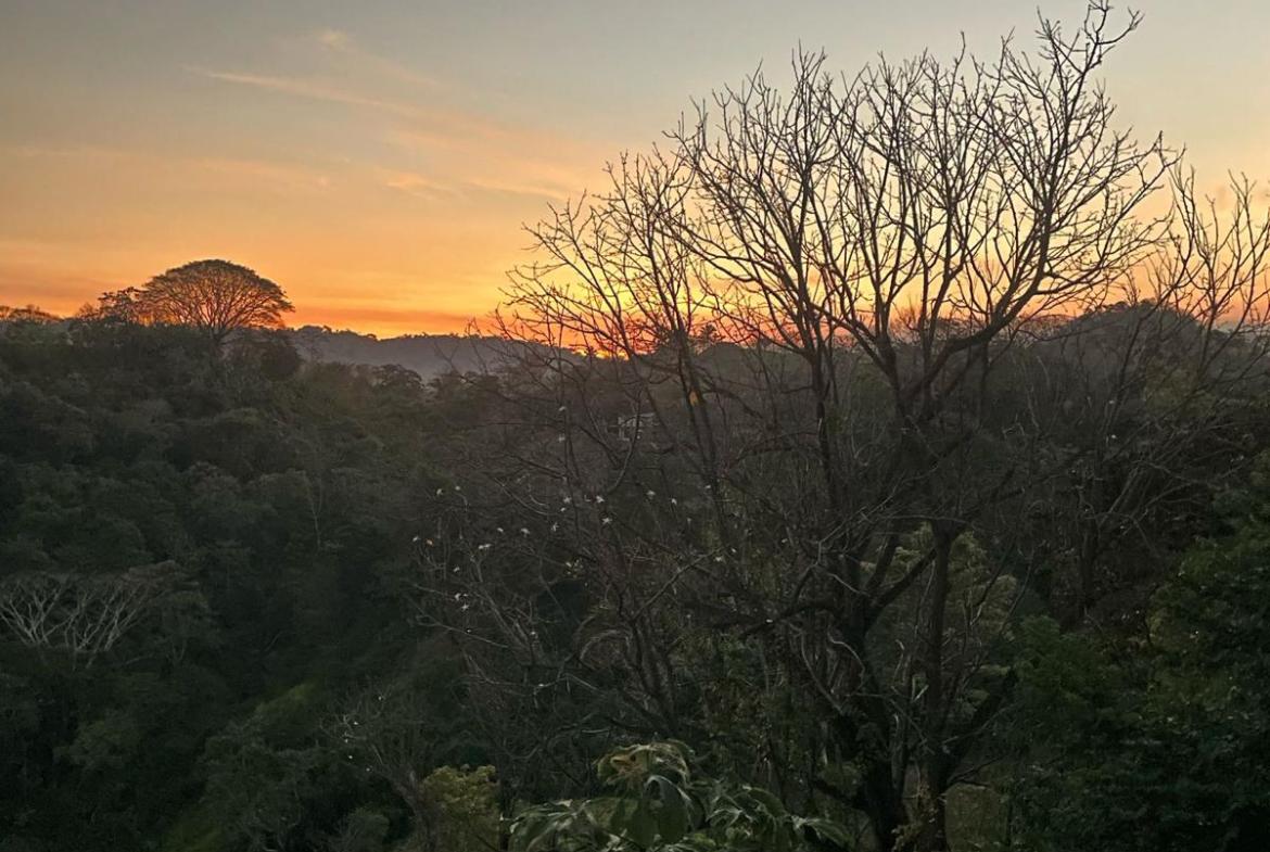 WhatsApp Image 2026-02-18 at 3.04.18 PM (3)