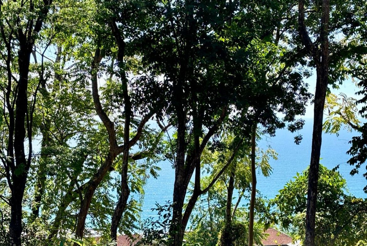 WhatsApp Image 2026-01-23 at 2.25.54 PM