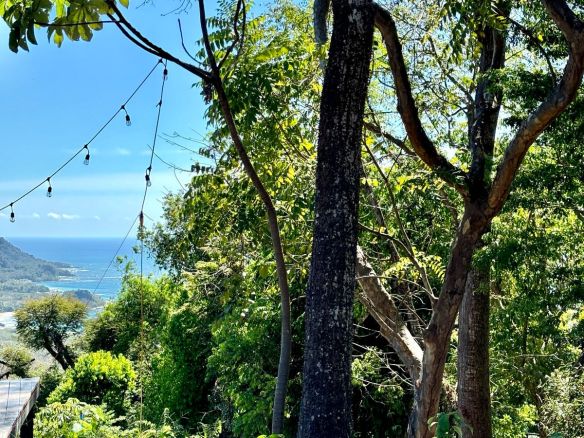 WhatsApp Image 2026-01-23 at 2.25.55 PM (1)