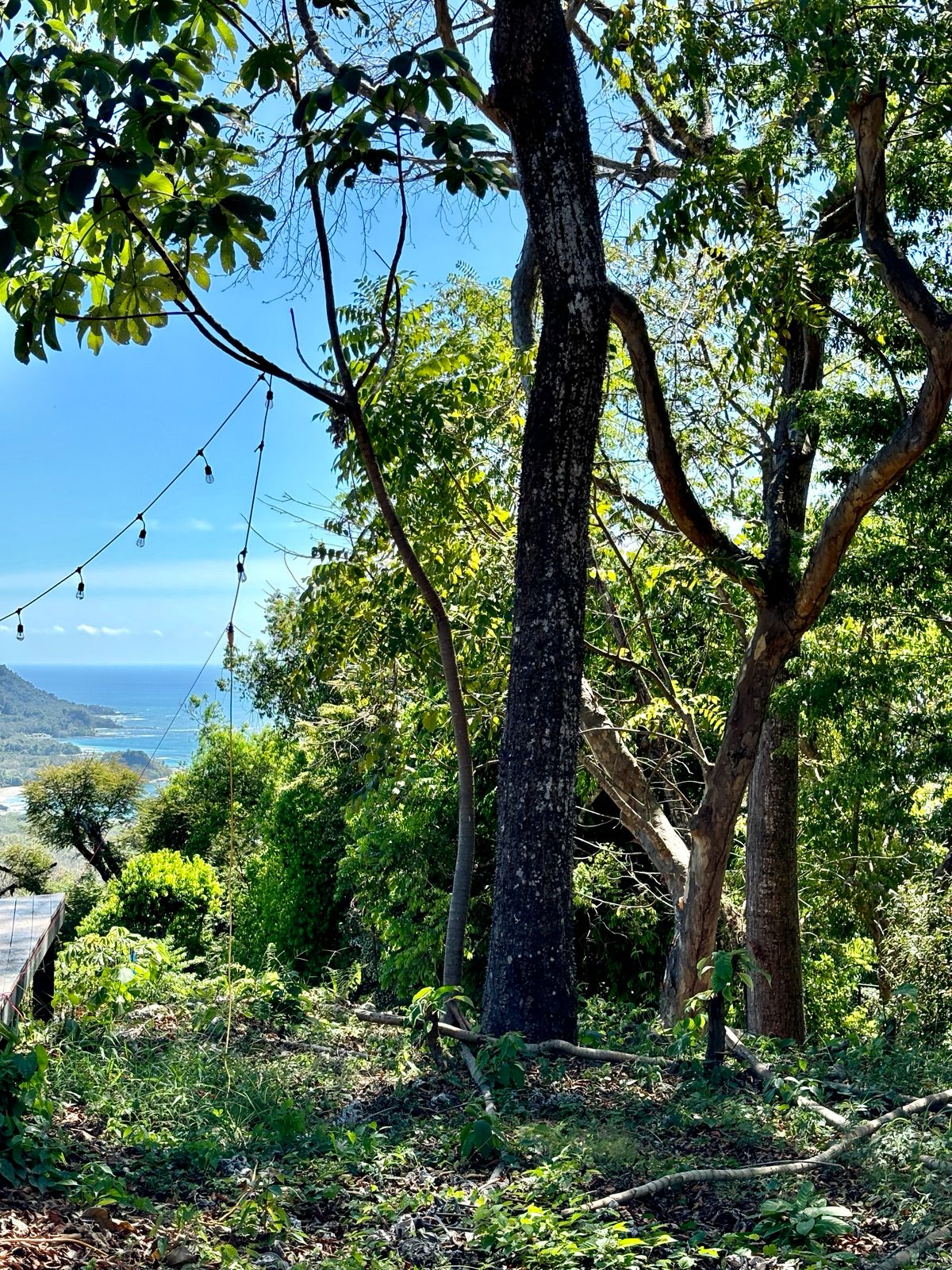 WhatsApp Image 2026-01-23 at 2.25.55 PM (1) WhatsApp Image 2026-01-23 at 2.25.55 PM (1)