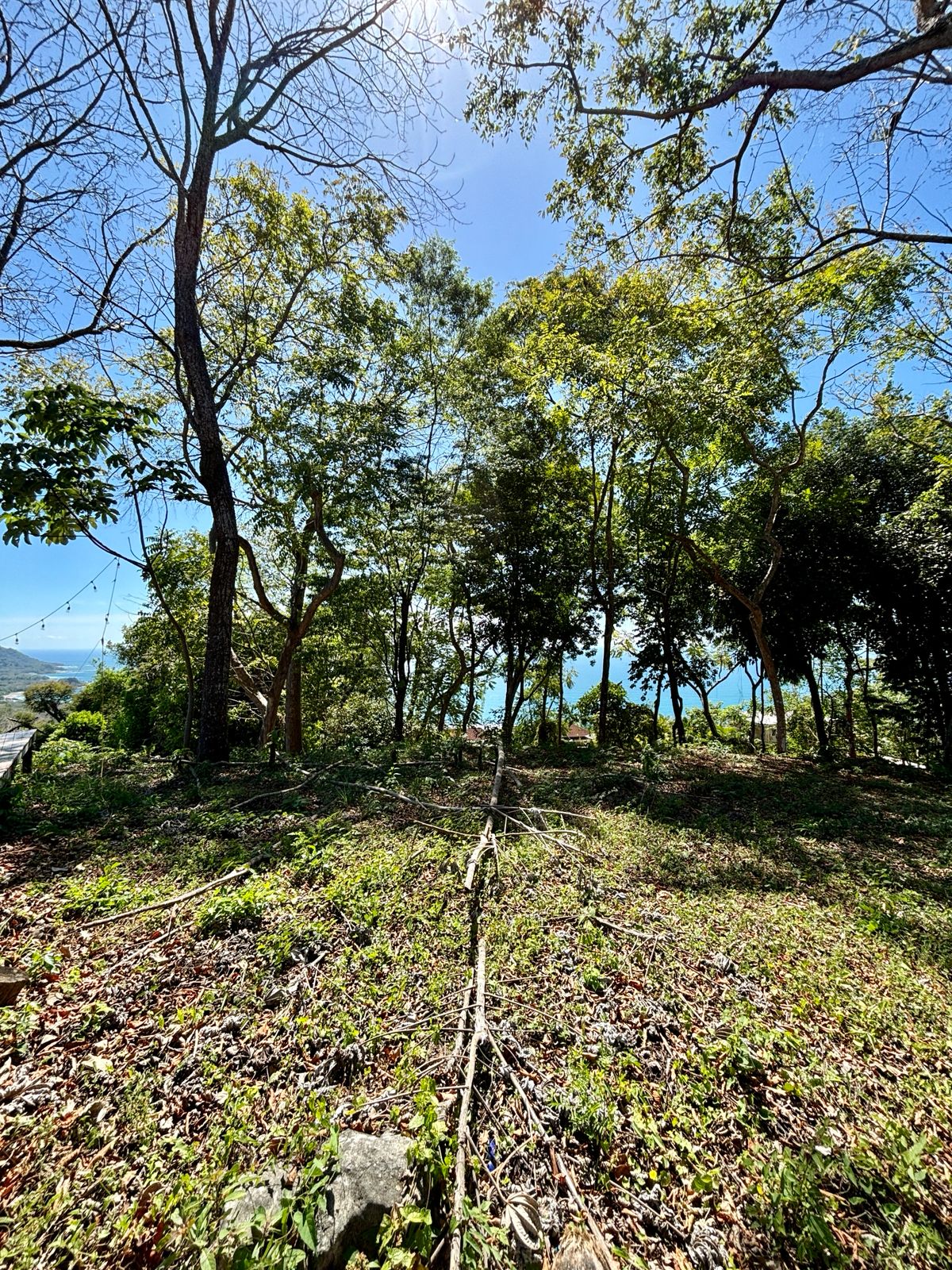 WhatsApp Image 2026-01-23 at 2.25.55 PM WhatsApp Image 2026-01-23 at 2.25.55 PM