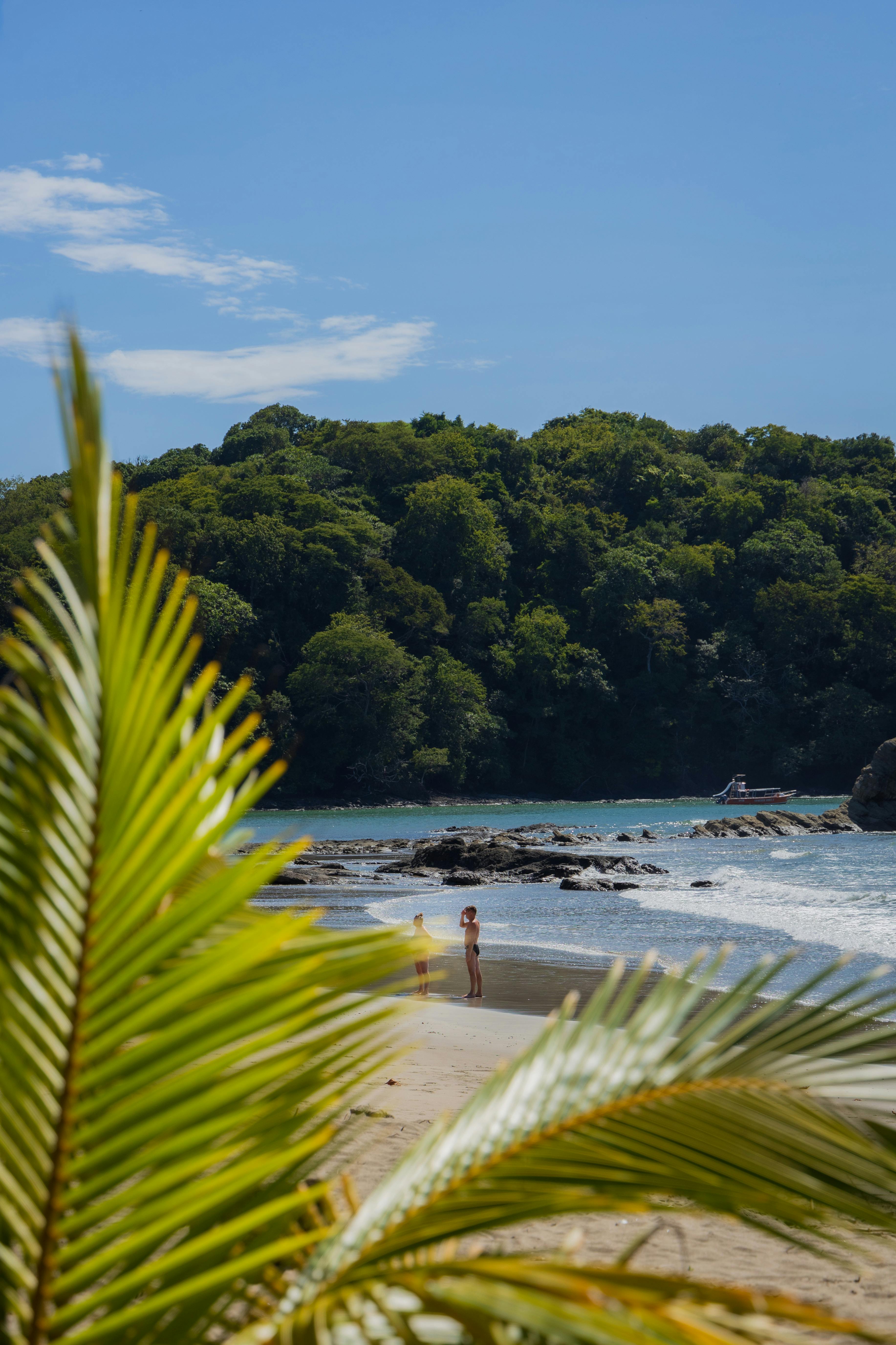 Tamarindo / Guanacaste Pacific cove with palm canopy