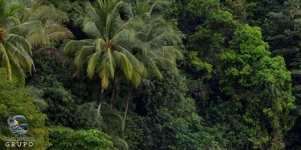 Quepos tropical beach getaway - owner financing costa rica