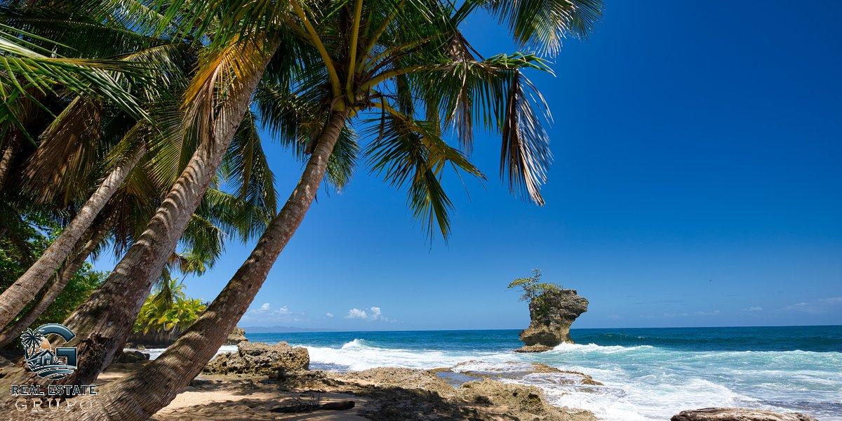 Tropical beach with palm trees and rock formations - plano catastrado costa rica