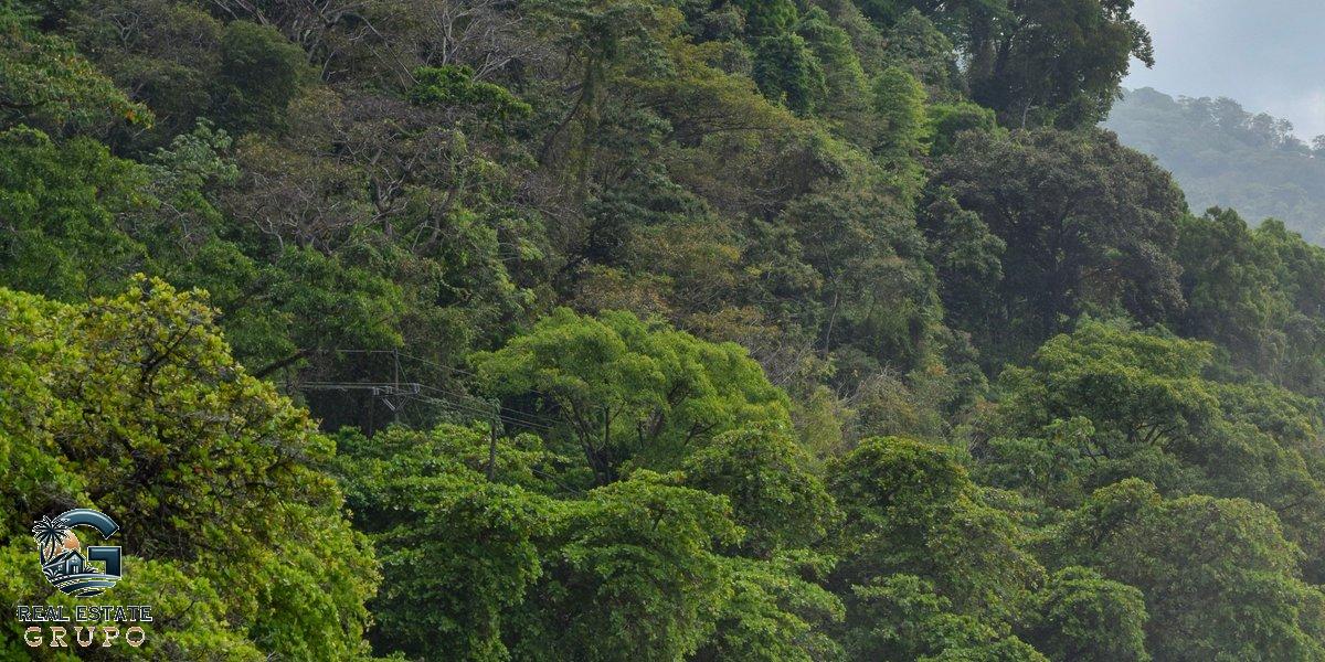 Punta Uva jungle coastline meeting beach - moving to costa rica rent or buy