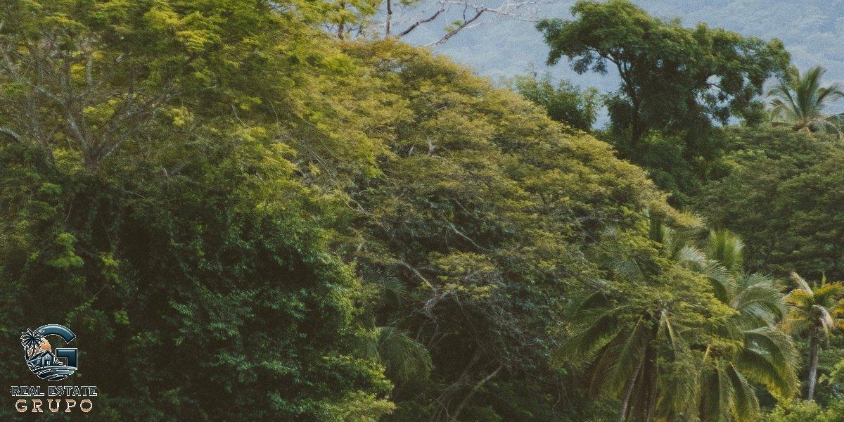 Rainforest landscape with river and misty mountains - Guanacaste - wire money to costa rica property