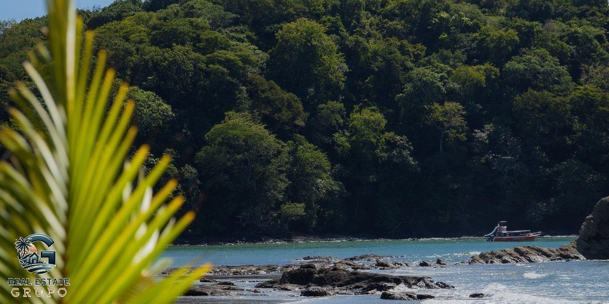 Tropical beach palm forest sunny - buy land in costa rica
